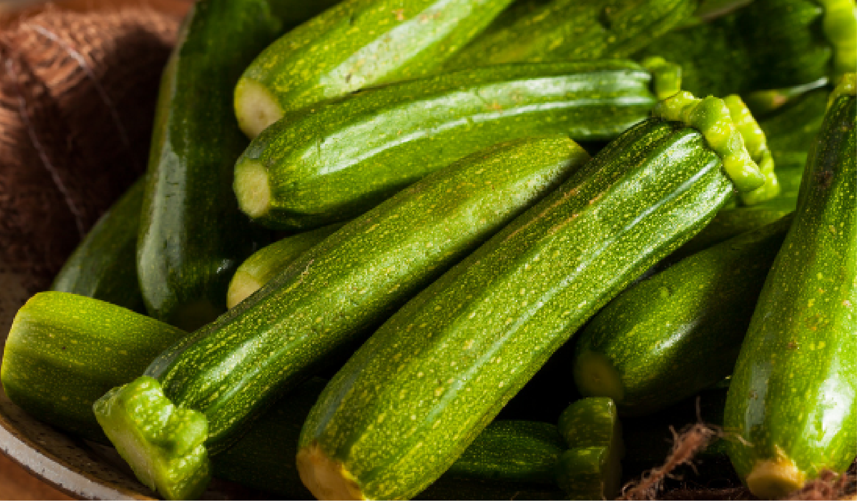 can dog eat raw zucchini